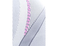 Термокофта жен. Accapi X-Country Long Sleeve Shirt Woman 950 silver XL/XXL